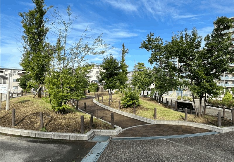 ベンチや散歩できる小高い園路も
