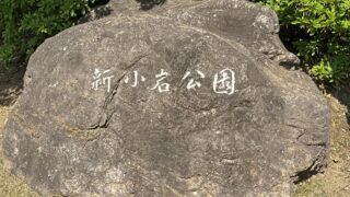 【新小岩公園】遊具・芝生広場・野球・バスケットなど｜北口から徒歩約5分