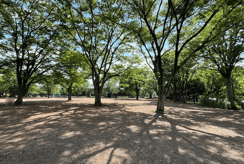 「新小岩公園」木陰も多く、春は桜のお花見スポット
